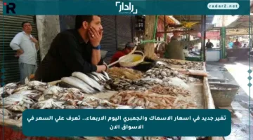 تغير جديد في أسعار الأسماك والجمبري اليوم الأربعاء.. تعرف على السعر في الأسواق الآن